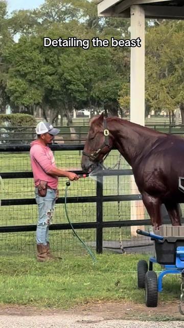 @Chepo- Ranch Hand