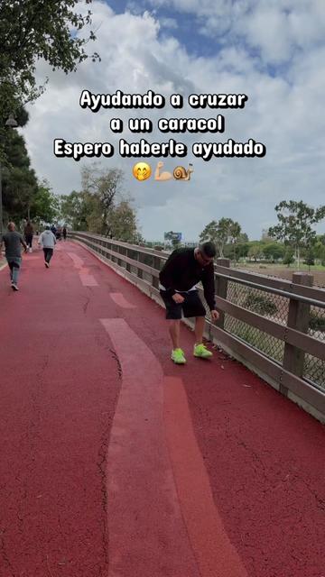 @"El Pepe gomas"
