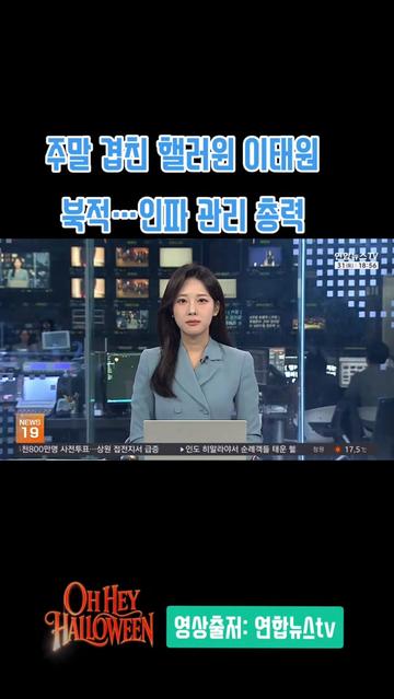 @🌺시라소니[본]🌺
