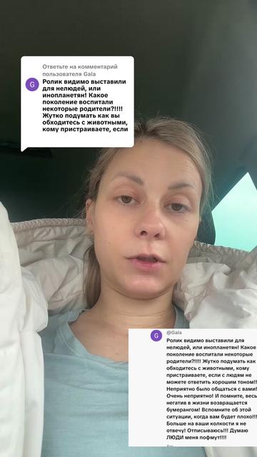 @Директор «Песокот»250🐈🐶
