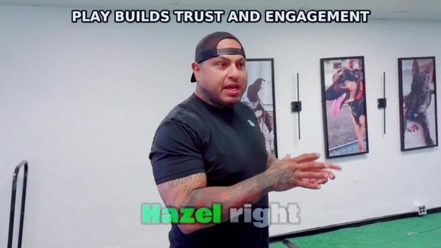 @Tactical K9s Dog Training