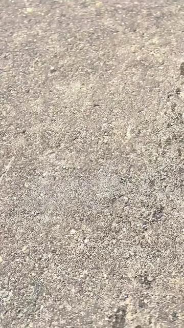 @Scoopyreceh_