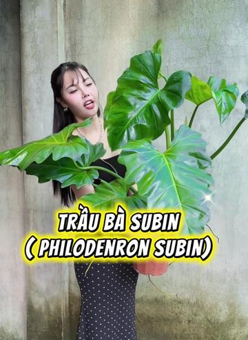 @Tiệm L&aacute; Nhỏ