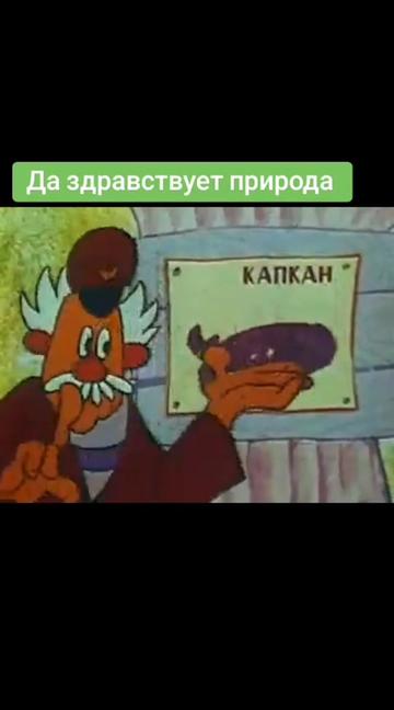 @rainkino