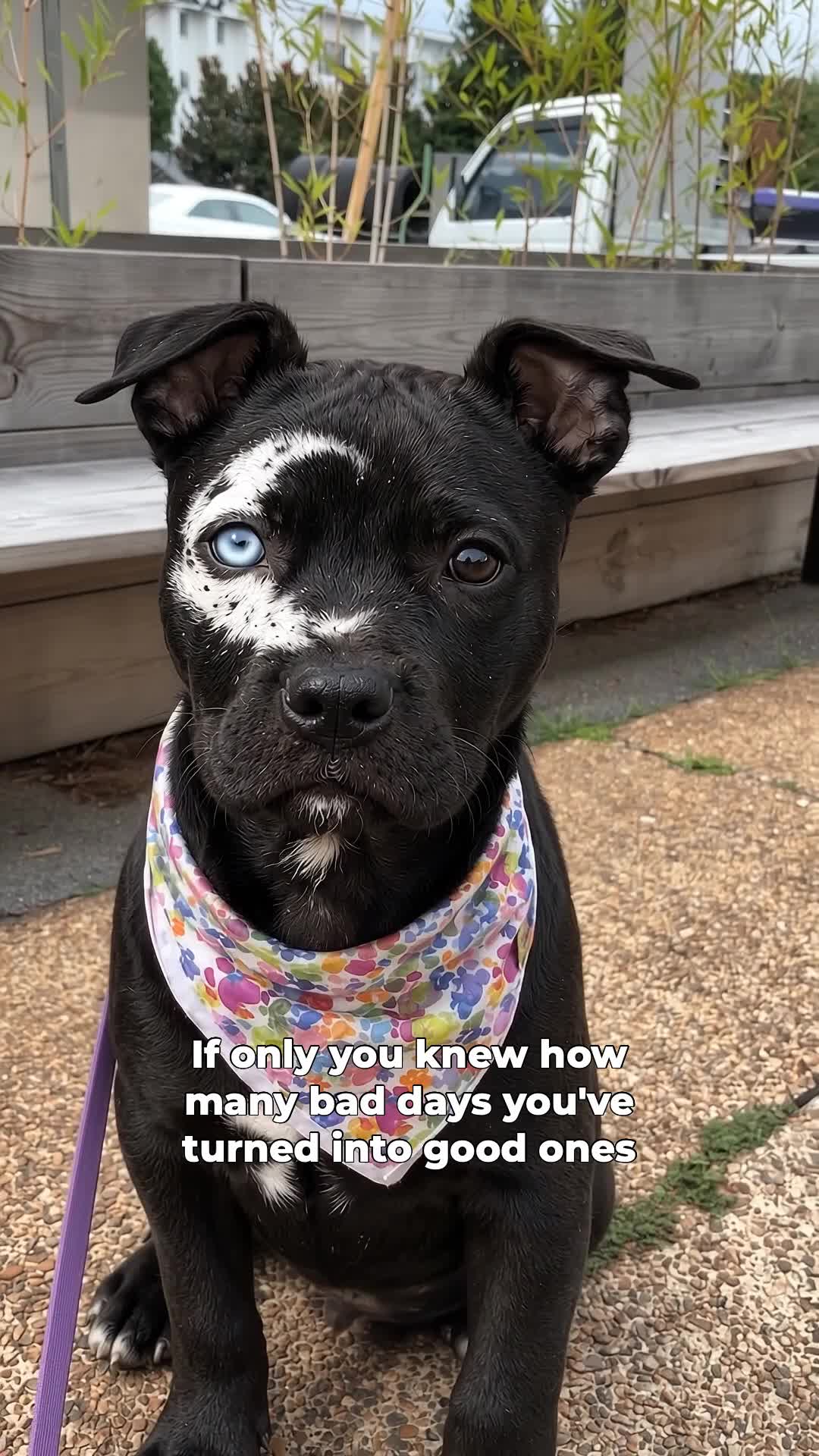 @moonfetches