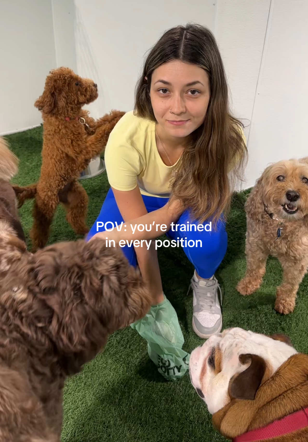 @Camp Canine Toronto