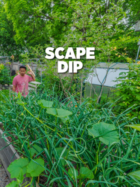 @Planted in the Garden