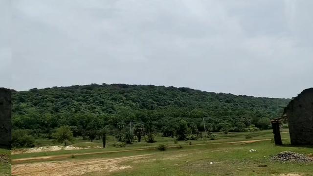 @Jyoti Prakash Mohaku