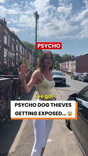 @Go Fetch