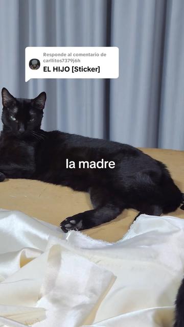 @Maria Celmira, Atelier