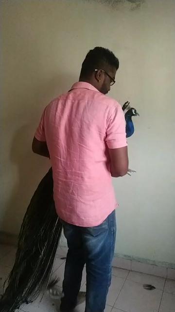 @Nilesh Chorge