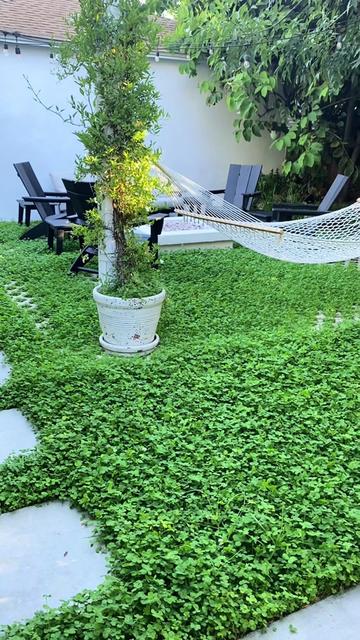 @Renovating Our Home