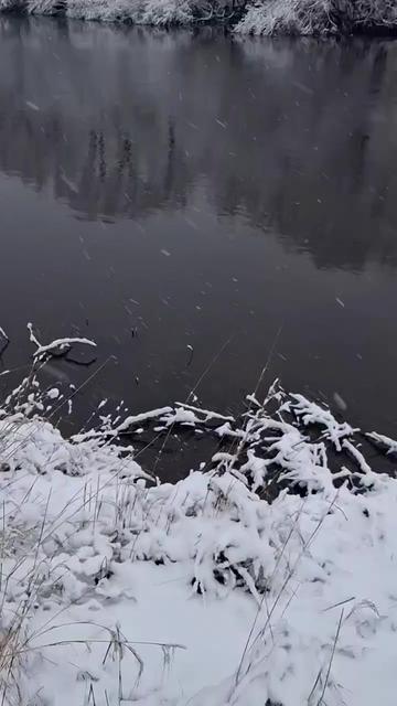 @user598032136 Ольга