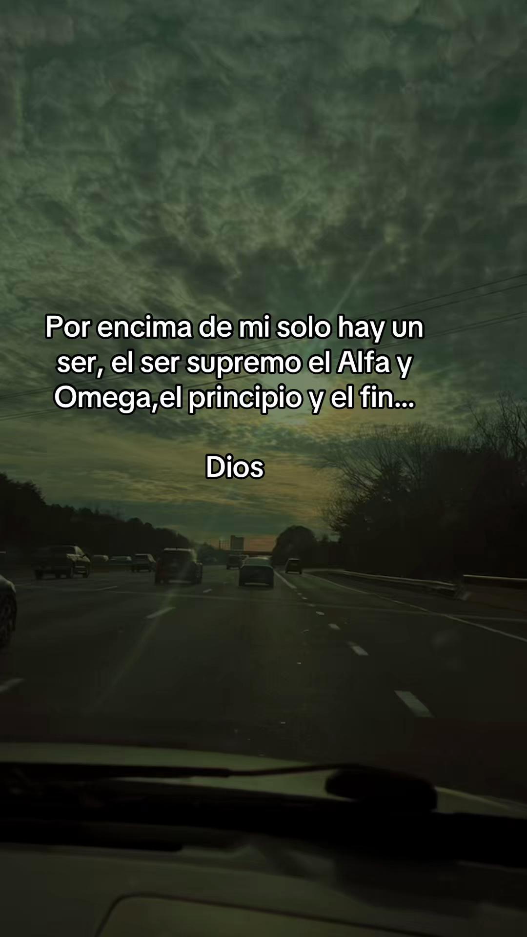 @sindyflores730