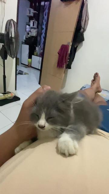 @okebaik