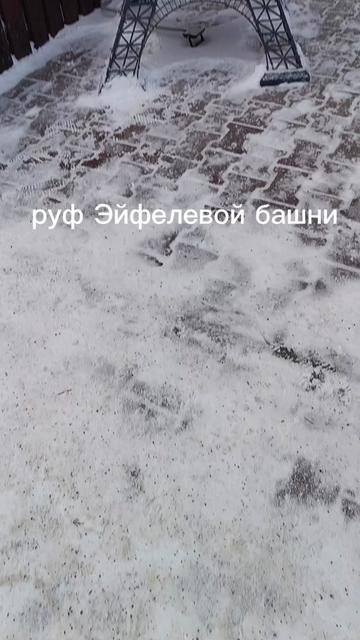 @целлофановая чехарда2.0