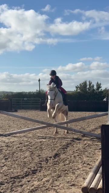 @LottiesHorseAdventures🦄🐴