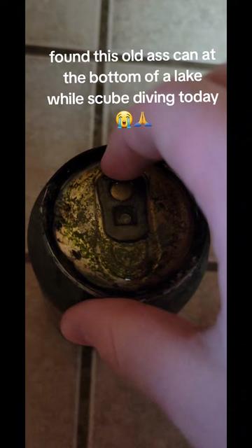 @Drunk Cat