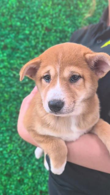 @Petland Oklahoma City