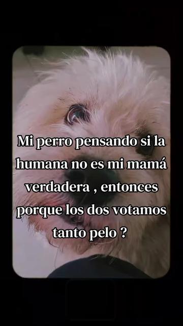 @ZhariitthMariiaLopezbB