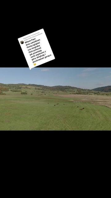 @Ania z Bieszczadzkiej Hecy🧀