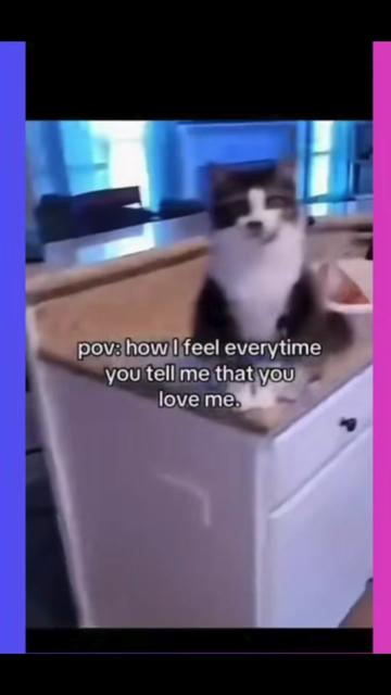 @A🖤.