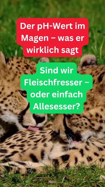 @VitaMetrics