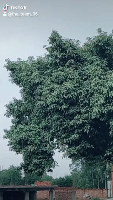 @Mohd_Ajmal_17