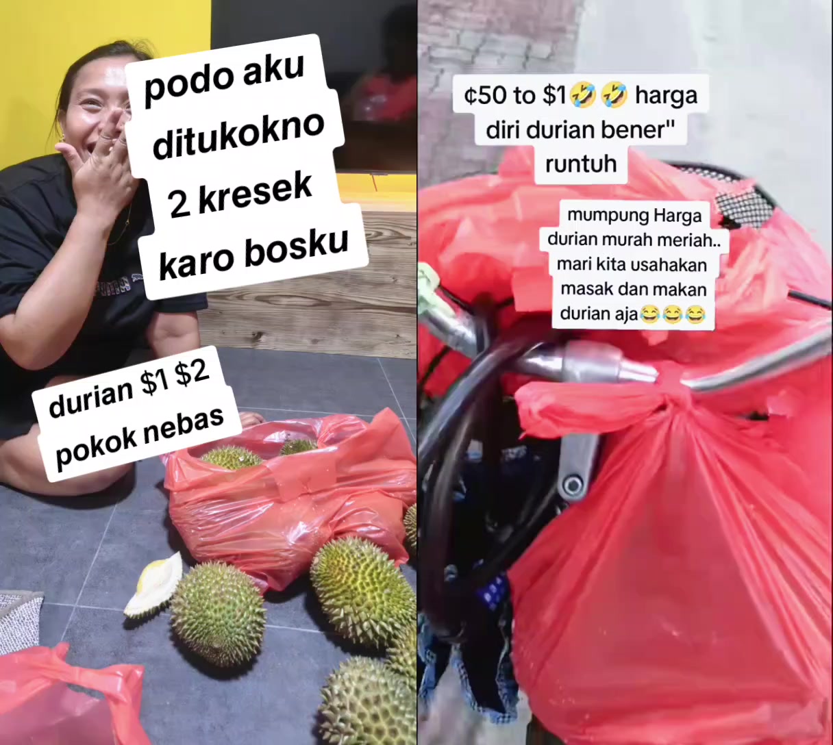 @🇮🇩 ❦𝘾𝙃𝙄𝙉𝙏𝘼❦ 🇮🇩