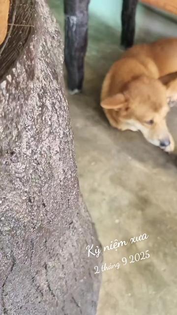 @Sơn_37🇻🇳💝🇻🇳💝🇻🇳