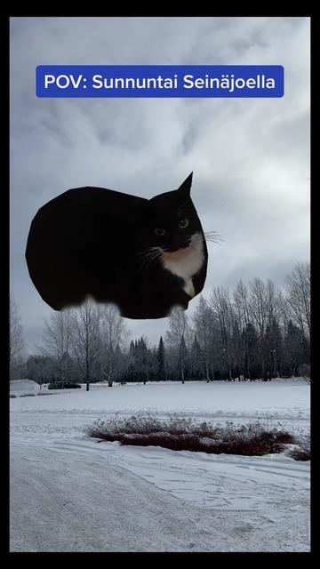 @VainSuomiJutut