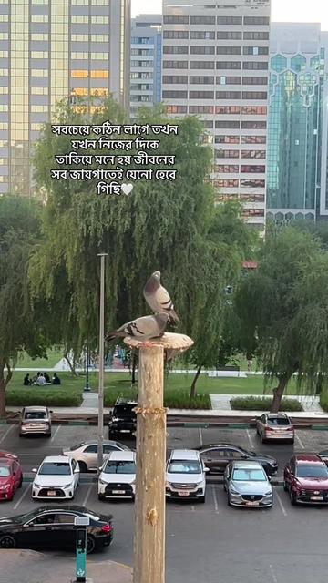 @ʝαɧɨԃ 🍃