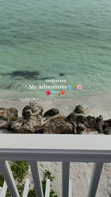 @andyslife