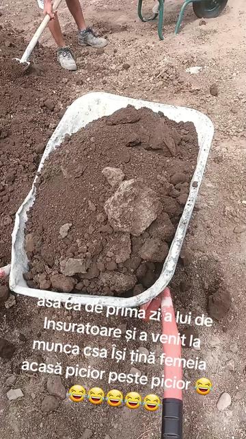@Alexandru Nicolae781