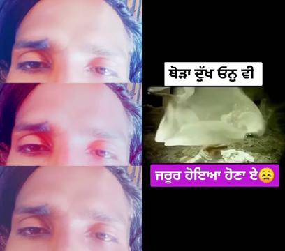 @je sai ji ,,786