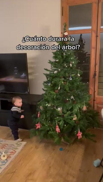 @Niubo