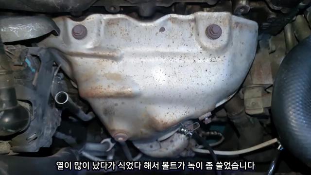 @귀여운친구