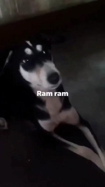 @risky_goswami302