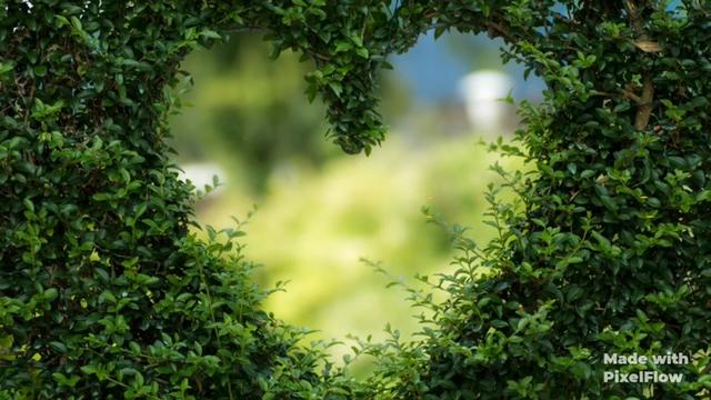 @🦁mr_giri_4449🦁