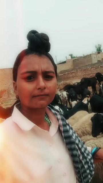 @user8616227522104