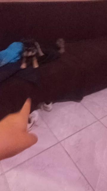 @editsdetodo