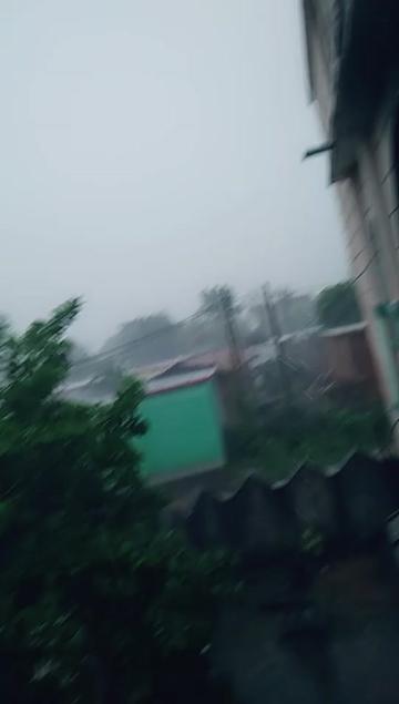 @Panka Jini