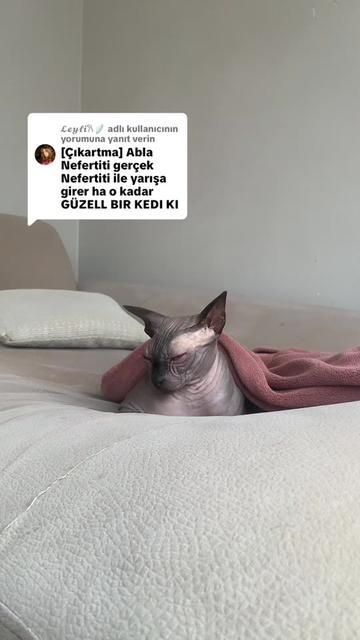@Larin