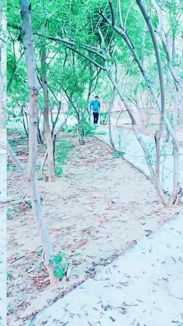 @rampal Singh banna