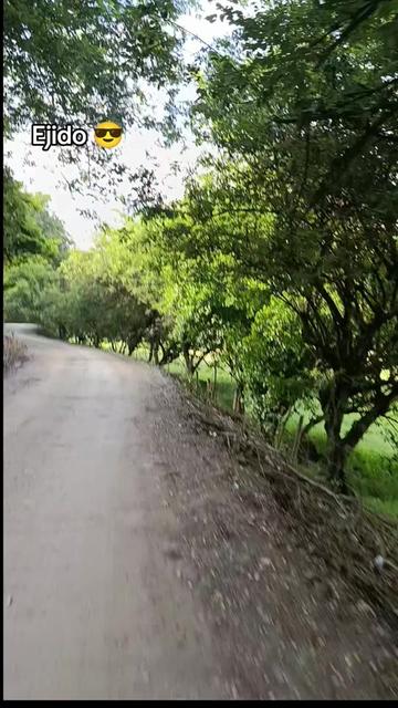 @yuleidy_🎧