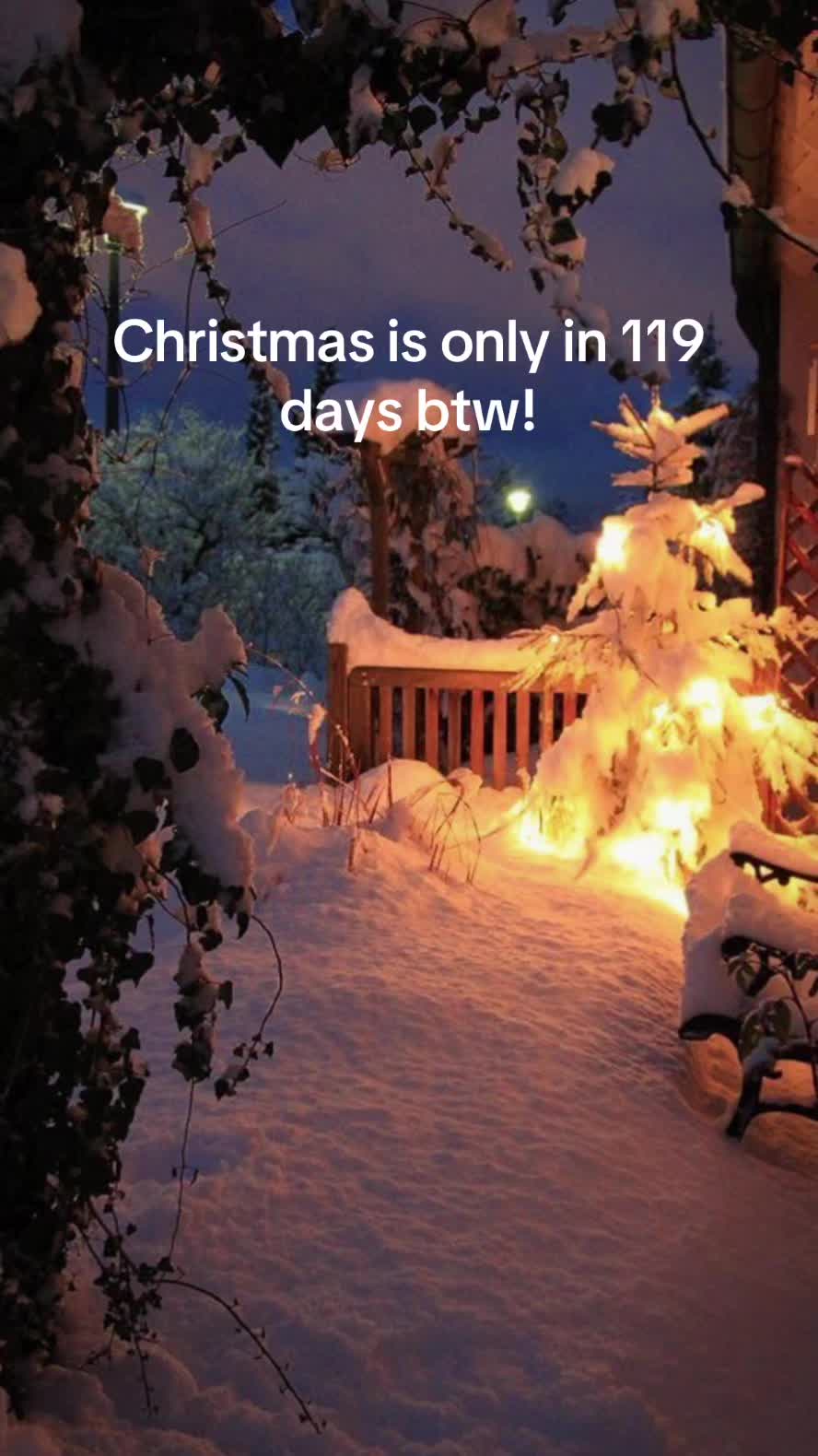 @christmas vibes!