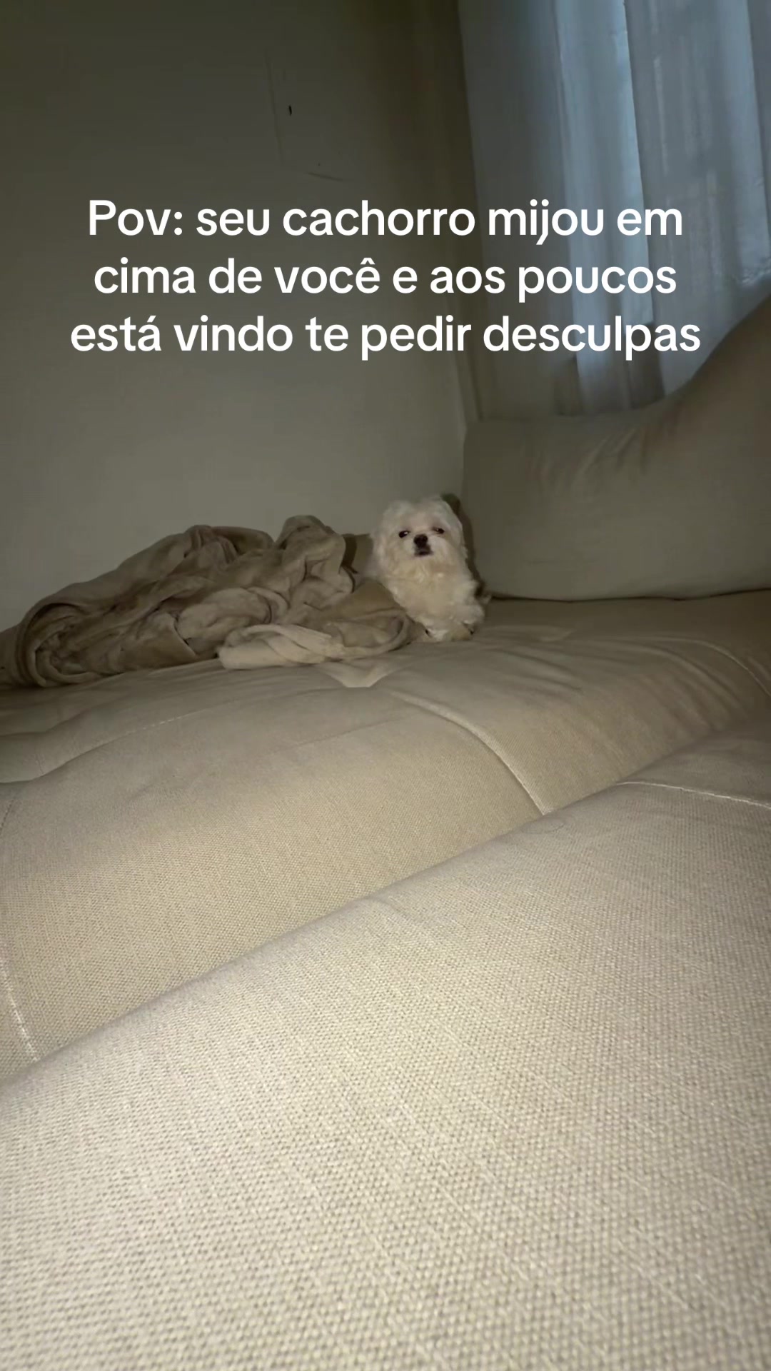 @Biluzinho