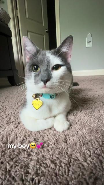 @Sierra
