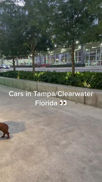 @Valley_Cruiser