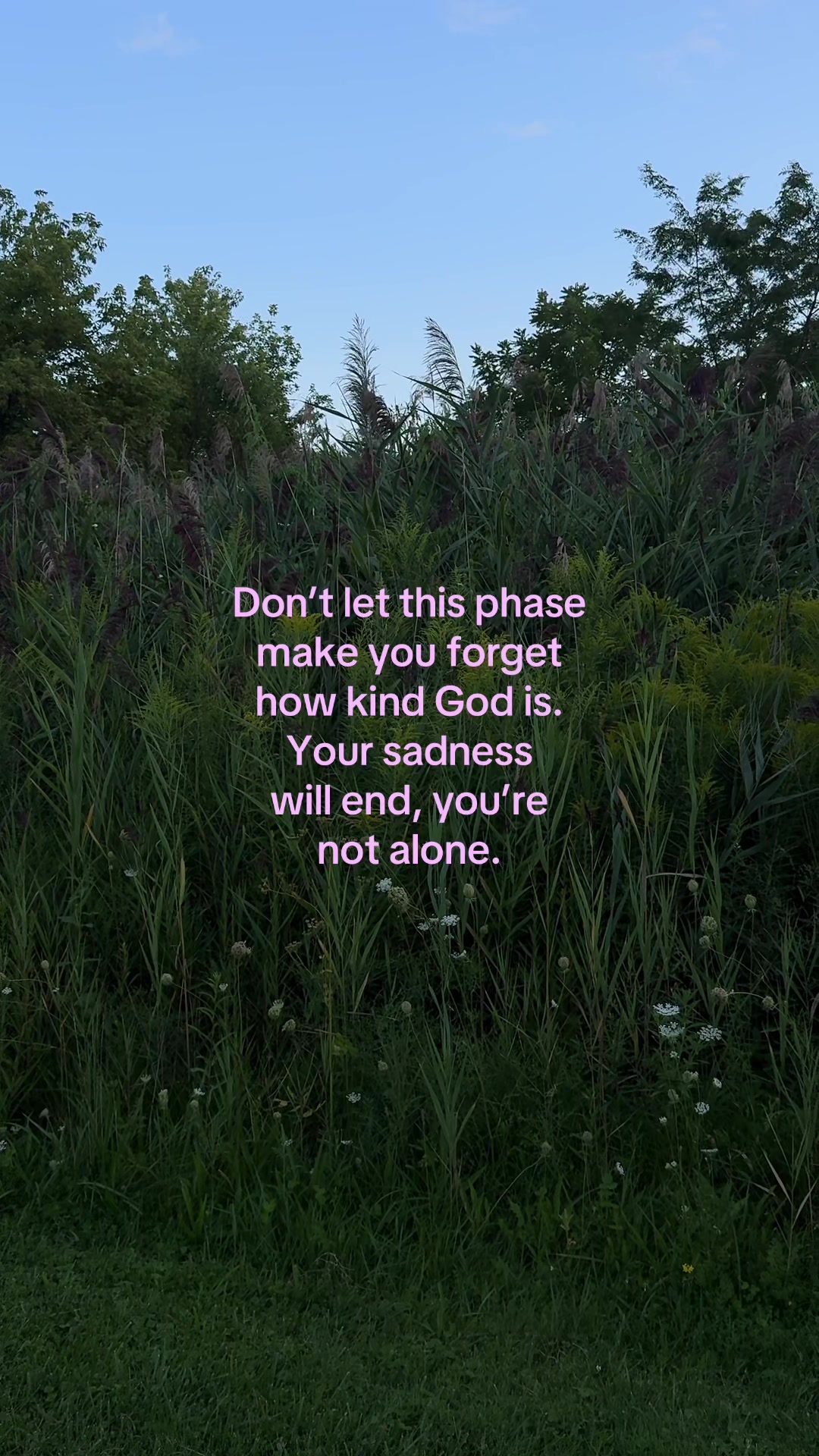 @ℒ ᥫ᭡